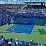 Classement Atp Homme Tennis 2022 Teri Collier News